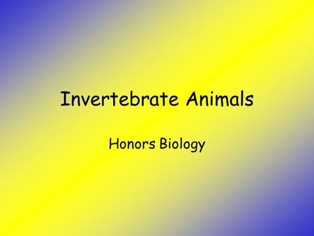 Invertebrate Animals Honors Biology. Objectives Describe characteristics common to invertebrate animals Describe the characteristics of major animal invertebrate.