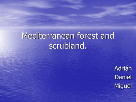 Mediterranean forest and scrubland. AdriánDanielMiguel.