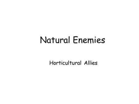 Natural Enemies Horticultural Allies. Natural Enemies Organisms that – –kill –decrease the reproductive potential –or otherwise reduce the numbers –of.