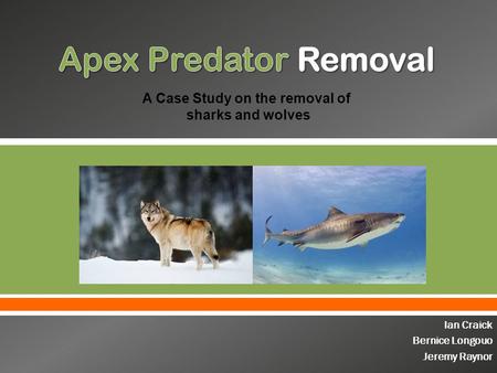  Ian Craick Bernice Longouo Jeremy Raynor A Case Study on the removal of sharks and wolves.
