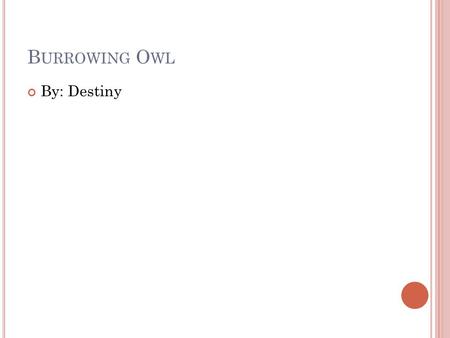 B URROWING O WL By: Destiny. PHYSICAL CHARACTERISTICS The Burrowing Owl is 10 inches long. The Burrowing Owl only weighs 6oz. The Burrowing Owl’s color.