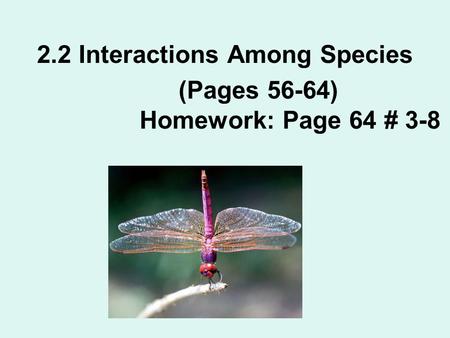 2.2 Interactions Among Species (Pages 56-64) Homework: Page 64 # 3-8