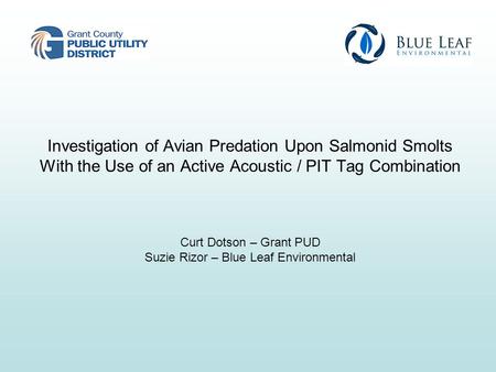 Investigation of Avian Predation Upon Salmonid Smolts With the Use of an Active Acoustic / PIT Tag Combination Curt Dotson – Grant PUD Suzie Rizor – Blue.