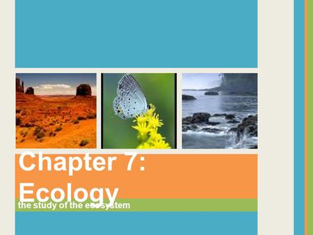 Chapter 7: Ecology the study of the ecosystem.