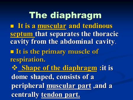 The diaphragm It is a muscular and tendinous septum that separates the thoracic cavity from the abdominal cavity. It is the primary muscle of respiration.