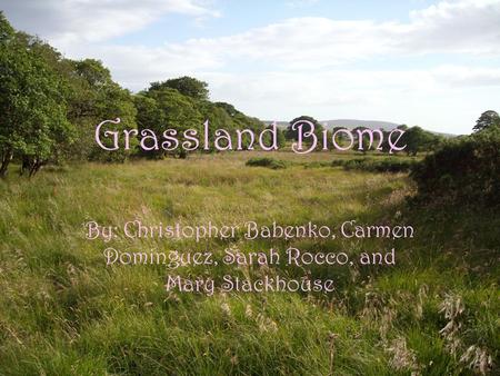 Grassland Biome By: Christopher Babenko, Carmen Dominguez, Sarah Rocco, and Mary Stackhouse.