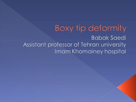  The boxy tip is defined as a broad, rectangular tip as seen on basal view.