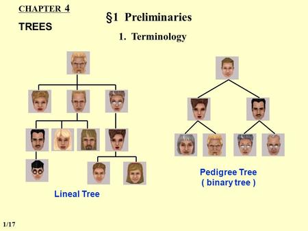 CHAPTER 4 TREES §1 Preliminaries 1. Terminology Lineal Tree Pedigree Tree ( binary tree ) 1/17.