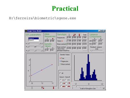 Practical H:\ferreira\biometric\sgene.exe. Practical Aim Visualize graphically how allele frequencies, genetic effects, dominance, etc, influence trait.