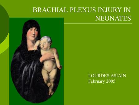 BRACHIAL PLEXUS INJURY IN NEONATES LOURDES ASIAIN February 2005.