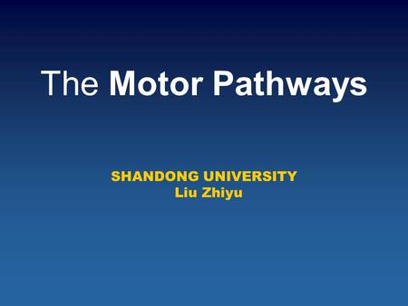 The Motor Pathways SHANDONG UNIVERSITY Liu Zhiyu.
