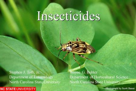 Insecticides Photograph by Scott Bauer Stephen J. Toth, Jr.Wayne G. Buhler Department of EntomologyDepartment of Horticultural ScienceNorth Carolina State.