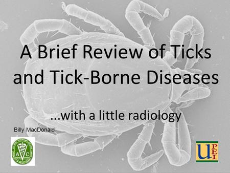 A Brief Review of Ticks and Tick-Borne Diseases