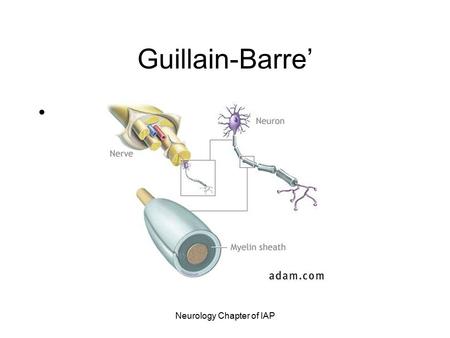 Neurology Chapter of IAP Guillain-Barre’. Neurology Chapter of IAP Guillain-Barre’ Syndrome Post-infectious polyneuropathy; ascending polyneuropathic.