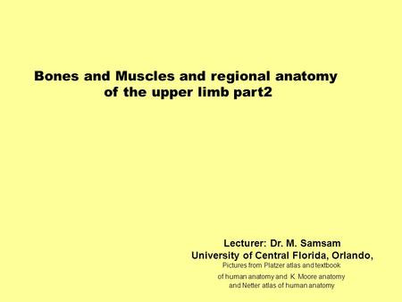 Bones and Muscles and regional anatomy of the upper limb part2