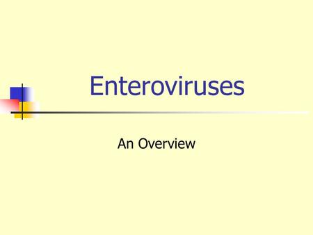 Enteroviruses An Overview.