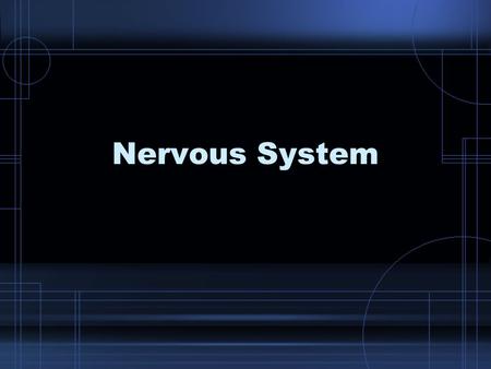 Nervous System. The Neuron Also called the nerve cell It is the basic structural unit of the nervous system.