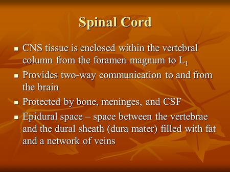 Spinal Cord CNS tissue is enclosed within the vertebral column from the foramen magnum to L1 Provides two-way communication to and from the brain Protected.