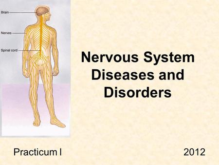 Nervous System Diseases and Disorders Practicum I 2012.