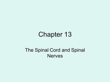 The Spinal Cord and Spinal Nerves