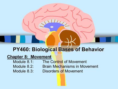 PY460: Biological Bases of Behavior Chapter 8: Movement Module 8.1: The Control of Movement Module 8.2: Brain Mechanisms in Movement Module 8.3:Disorders.