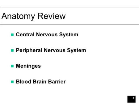 1 Anatomy Review Central Nervous System Peripheral Nervous System Meninges Blood Brain Barrier.