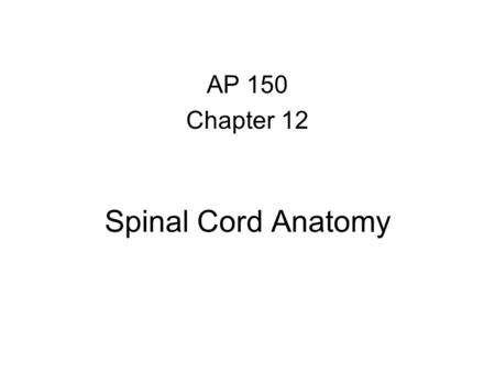 AP 150 Chapter 12 Spinal Cord Anatomy.