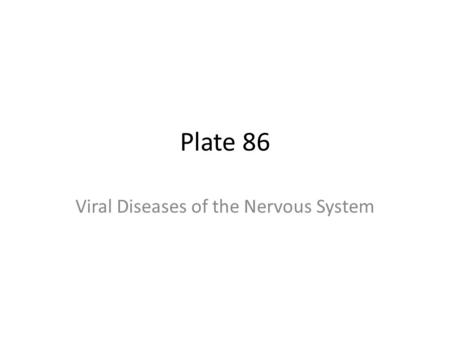 Plate 86 Viral Diseases of the Nervous System. Nervous System Central nervous system: – The meninges – The brain – The spinal cord Peripheral nervous.