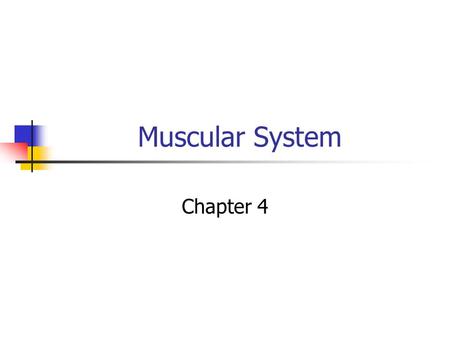 Muscular System Chapter 4.