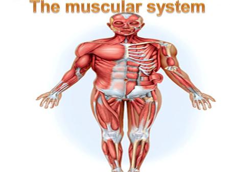 Major structures muscles ------- my/o, myos/o fascia -------- fasci/o tendons ------- ten/o, tend/o, tendin/o.