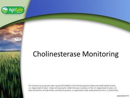 Cholinesterase Monitoring This material was produced under a grant (SH22284SH1) from the Occupational Safety and Health Administration, U.S. Department.