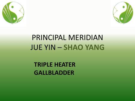 PRINCIPAL MERIDIAN JUE YIN – SHAO YANG TRIPLE HEATER GALLBLADDER.