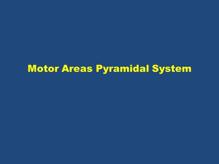 Motor Areas Pyramidal System