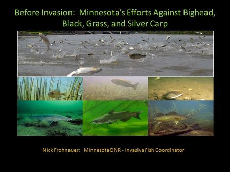 Nick Frohnauer: Minnesota DNR - Invasive Fish Coordinator Before Invasion: Minnesota’s Efforts Against Bighead, Black, Grass, and Silver Carp.
