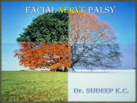 Facial Nerve Palsy Dr. SUDEEP K.C..