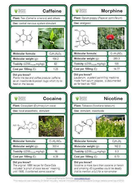 Nicotine Plant: Tobacco (Nicotiana tabacum) Did you know? Nicotine is more toxic than cocaine or heroin and smoking 40 cigarettes could be deadly (not.