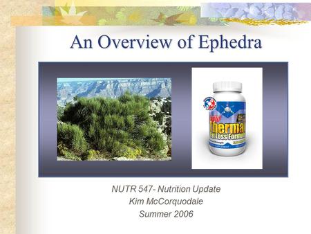 NUTR 547- Nutrition Update Kim McCorquodale Summer 2006 An Overview of Ephedra.