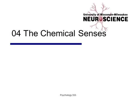 Psychology 355 04 The Chemical Senses. Psychology 3552 Introduction I.Animals depend on the chemical senses to identify nourishment II.Chemical sensation.