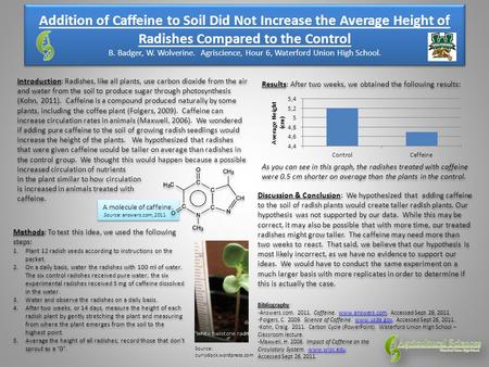 A molecule of caffeine. Source: answers.com, 2011 Addition of Caffeine to Soil Did Not Increase the Average Height of Radishes Compared to the Control.
