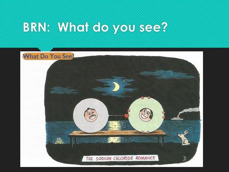 BRN: What do you see?. Bonding New section in table of contents.