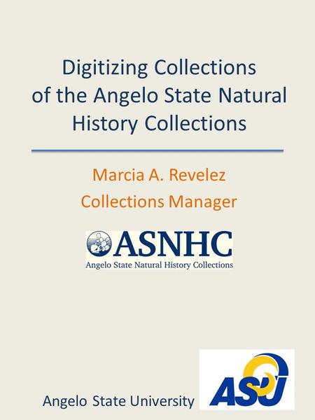Digitizing Collections of the Angelo State Natural History Collections Marcia A. Revelez Collections Manager Angelo State University.