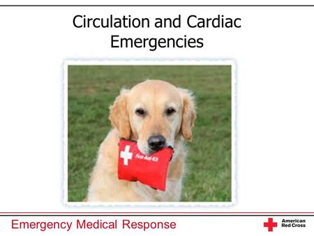 Emergency Medical Response Circulation and Cardiac Emergencies.