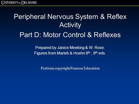 Peripheral Nervous System & Reflex Activity Part D: Motor Control & Reflexes Prepared by Janice Meeking & W. Rose. Figures from Marieb & Hoehn 8 th, 9.