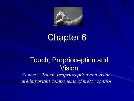 Touch, Proprioception and Vision
