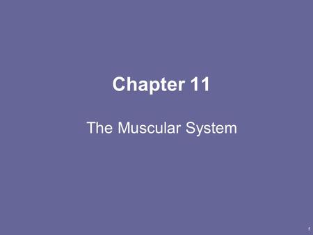 1 Chapter 11 The Muscular System. 2 How Muscles Produce Movement Produce movement by exerting force on tendons which in turn pull on bones –Generally.