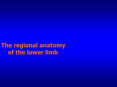 The regional anatomy of the lower limb