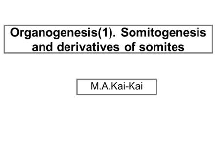 Organogenesis(1). Somitogenesis and derivatives of somites M.A.Kai-Kai.