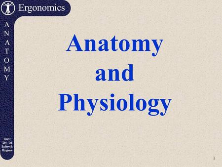 1 Ergonomics ANATOMYANATOMY BWC Div. Of Safety & Hygiene Anatomy and Physiology.