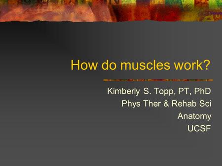 How do muscles work? Kimberly S. Topp, PT, PhD Phys Ther & Rehab Sci Anatomy UCSF.