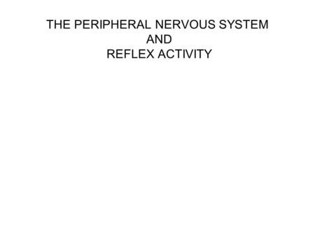 THE PERIPHERAL NERVOUS SYSTEM AND REFLEX ACTIVITY.